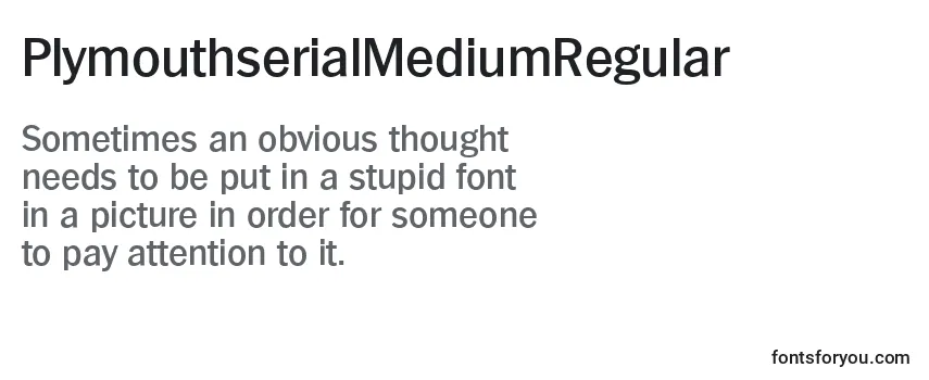 PlymouthserialMediumRegular Font