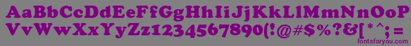 CoopaBlacka Font – Purple Fonts on Gray Background