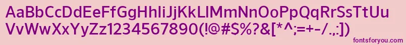 NuorderDemibold Font – Purple Fonts on Pink Background