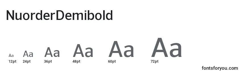 Размеры шрифта NuorderDemibold