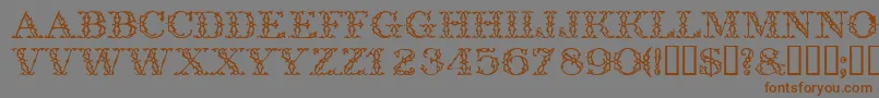 Trellisdisplaycapsssk Font – Brown Fonts on Gray Background