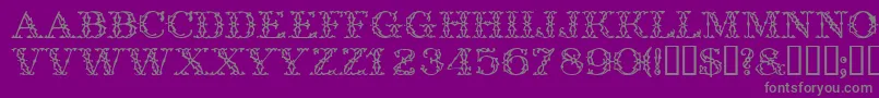 フォントTrellisdisplaycapsssk – 紫の背景に灰色の文字