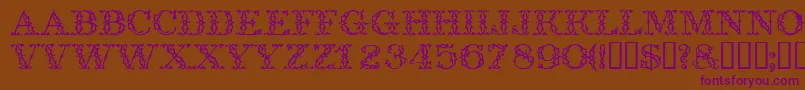Trellisdisplaycapsssk Font – Purple Fonts on Brown Background