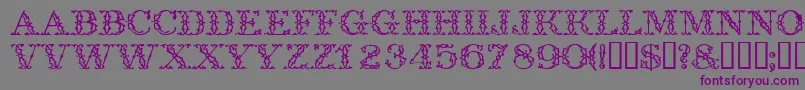 Trellisdisplaycapsssk Font – Purple Fonts on Gray Background