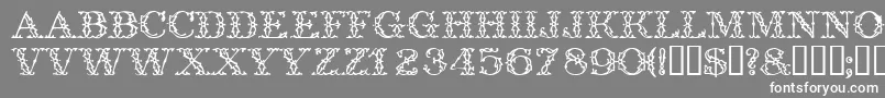 Trellisdisplaycapsssk Font – White Fonts on Gray Background