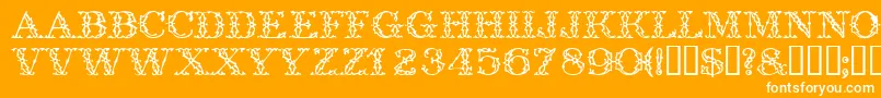 Trellisdisplaycapsssk Font – White Fonts on Orange Background