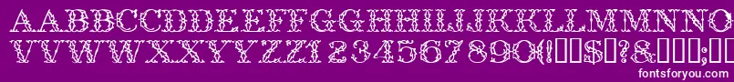 Trellisdisplaycapsssk Font – White Fonts on Purple Background