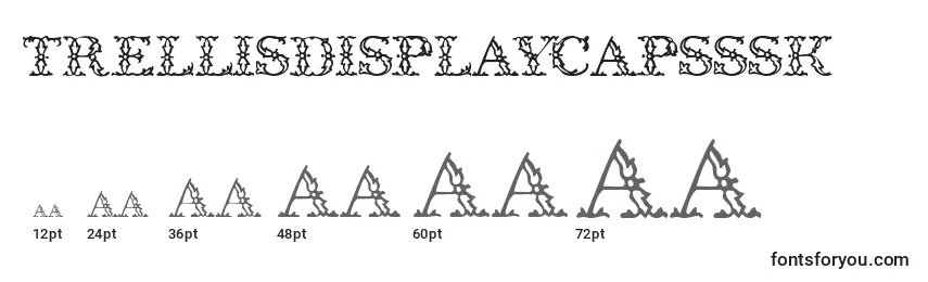 Размеры шрифта Trellisdisplaycapsssk
