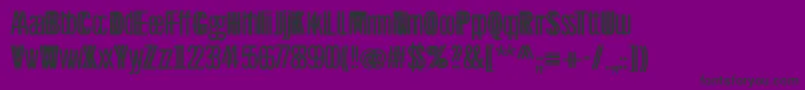 Twinsetsansone Font – Black Fonts on Purple Background