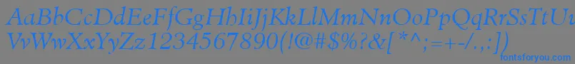 MinisterLtLightItalic Font – Blue Fonts on Gray Background