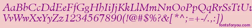 MinisterLtLightItalic Font – Purple Fonts on Pink Background