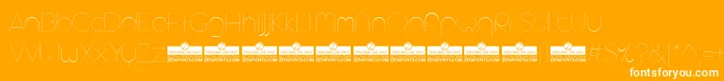 AristaProAlternateHairlineTrial Font – White Fonts on Orange Background