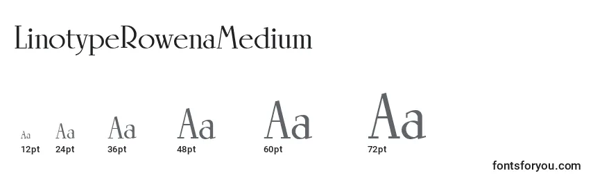 Размеры шрифта LinotypeRowenaMedium