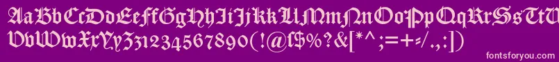 Dscaslongotischosf Font – Pink Fonts on Purple Background