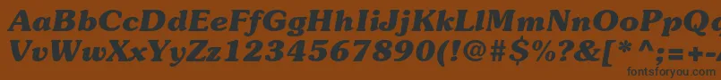 SouvenirstdBolditalic Font – Black Fonts on Brown Background