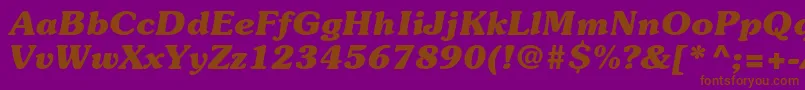 SouvenirstdBolditalic Font – Brown Fonts on Purple Background