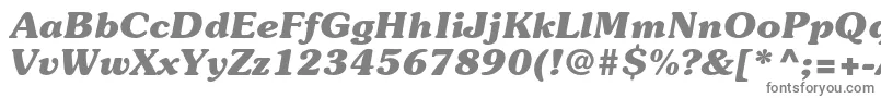 フォントSouvenirstdBolditalic – 白い背景に灰色の文字