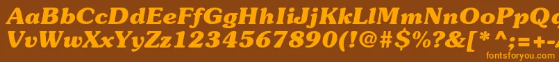 SouvenirstdBolditalic Font – Orange Fonts on Brown Background