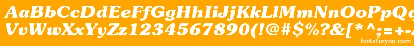 SouvenirstdBolditalic Font – White Fonts on Orange Background