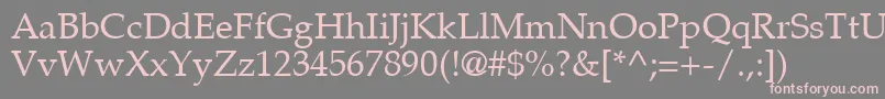PalatinoLtRoman Font – Pink Fonts on Gray Background