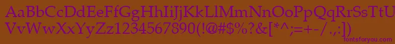 PalatinoLtRoman Font – Purple Fonts on Brown Background