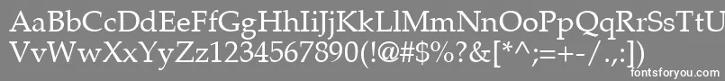 PalatinoLtRoman Font – White Fonts on Gray Background