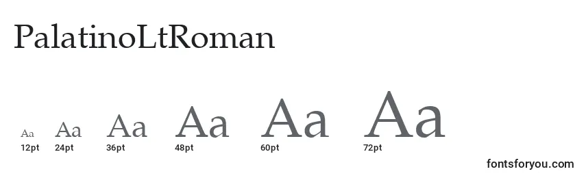 PalatinoLtRoman Font Sizes