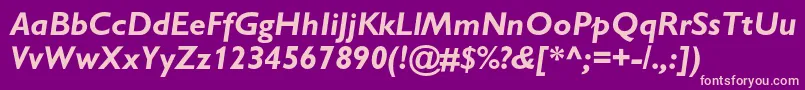 GillsanscBolditalic Font – Pink Fonts on Purple Background