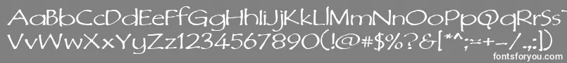 フォントDimurph – 灰色の背景に白い文字