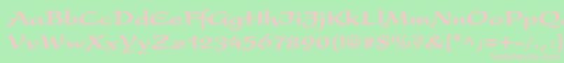 PresentltstdBlack Font – Pink Fonts on Green Background