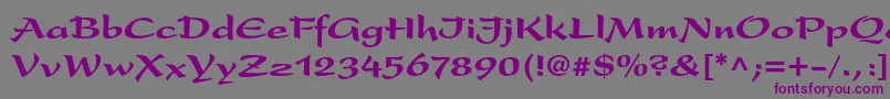 PresentltstdBlack Font – Purple Fonts on Gray Background