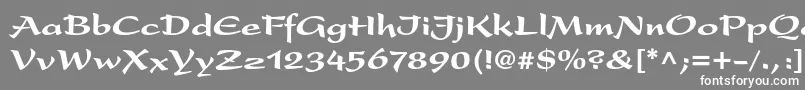 フォントPresentltstdBlack – 灰色の背景に白い文字