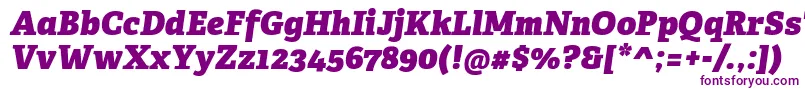 AdelleCyrillicHeavyItalic Font – Purple Fonts on White Background