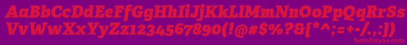 AdelleCyrillicHeavyItalic Font – Red Fonts on Purple Background