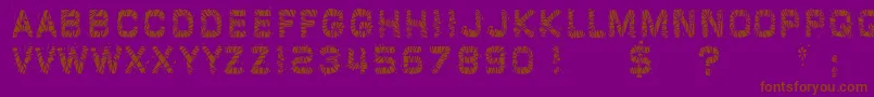 GlazKrakSolid Font – Brown Fonts on Purple Background