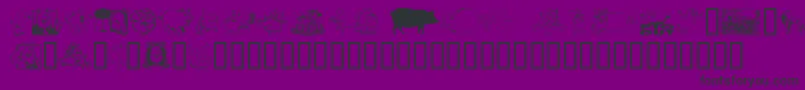 フォントEinschwe – 紫の背景に黒い文字