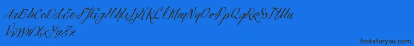 VtksFelicidade2016 Font – Black Fonts on Blue Background