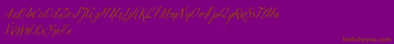 VtksFelicidade2016 Font – Brown Fonts on Purple Background