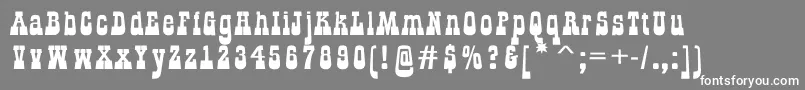 GildialnbkRegular Font – White Fonts on Gray Background