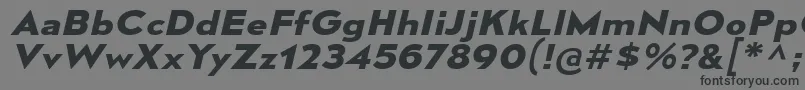MesmerizeExBdIt Font – Black Fonts on Gray Background