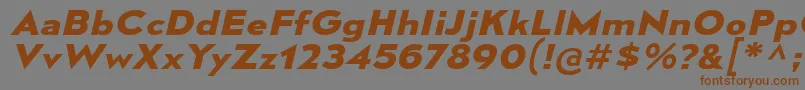 MesmerizeExBdIt Font – Brown Fonts on Gray Background