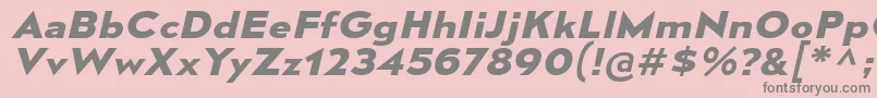 MesmerizeExBdIt Font – Gray Fonts on Pink Background