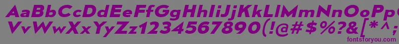 MesmerizeExBdIt Font – Purple Fonts on Gray Background
