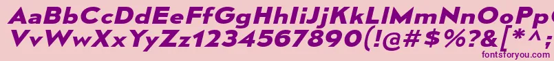 MesmerizeExBdIt Font – Purple Fonts on Pink Background