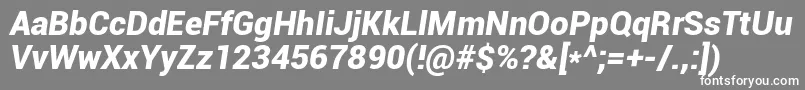 フォントRobotoBlackItalic – 灰色の背景に白い文字