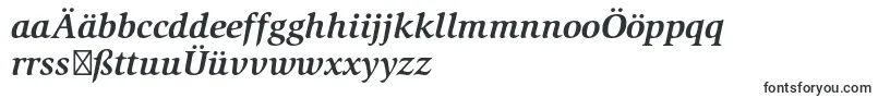 SlimbachstdBolditalic Font – German Fonts