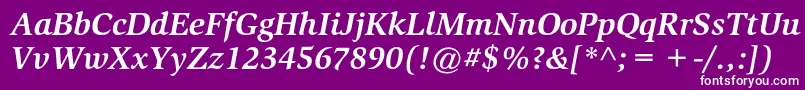 SlimbachstdBolditalic Font – White Fonts on Purple Background