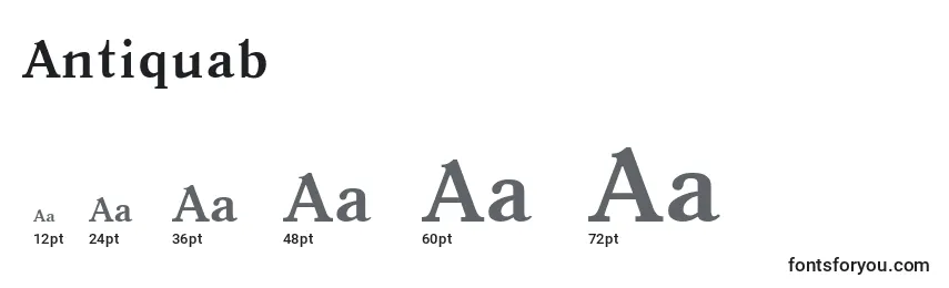 Размеры шрифта Antiquab