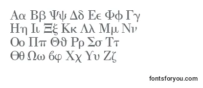 Review of the QuantapithreesskRegular Font