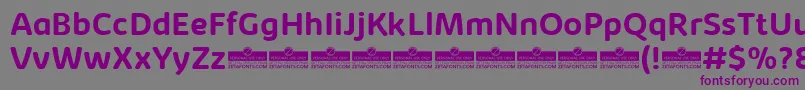 Шрифт KabrioAbarthBoldTrial – фиолетовые шрифты на сером фоне